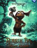 Постер из фильма "Волшебный кубок Роррима Бо 3D" - 1