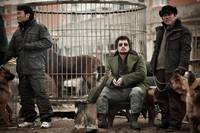 Кадр Желтое море