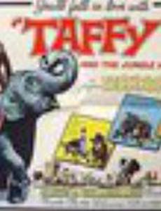 Taffy and the Jungle Hunter