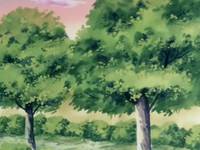 Кадр Мальчик-мармелад