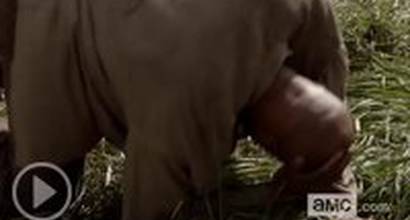 ТВ-ролик (сезон 4, эпизод 6)