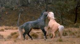 Кадр из фильма "Серебряный ветер" - 1