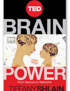 Brain Power: From Neurons to Networks (видео)