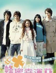 Мед и клевер