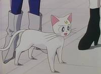 Кадр Красавица-воин Сейлор Мун Эс