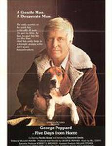 Пять дней из дома