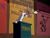 Кадр Кролик ныряющий с высоты