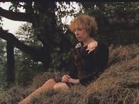 Кадр Год Собаки