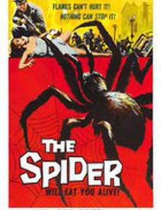 Земля против паука