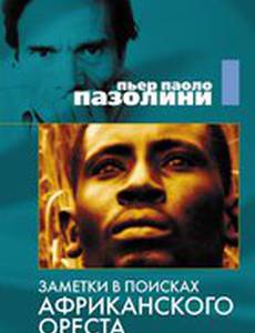 Заметки в поисках африканского Ореста