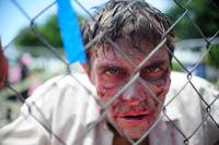 Кадр Ходячие мертвецы