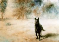 Кадр Сон смешного человека