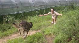 Кадр из фильма "Воющий" - 2