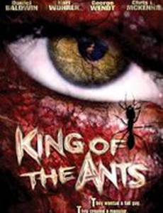 Король муравьев