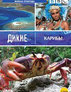 BBC: Дикие Карибы
