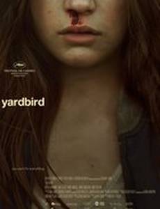 Птичка в клетке