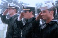 Кадр Морские котики