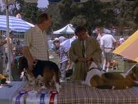 Кадр Коломбо: Гений и злодейство