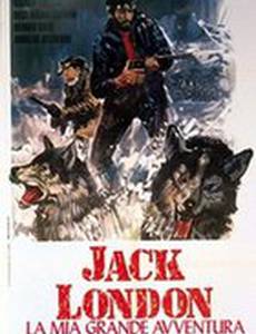 Мое большое приключение (мини-сериал)