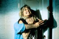 Кадр Птичка на проводе