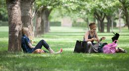 Кадр из фильма "Очень хорошие девочки" - 2