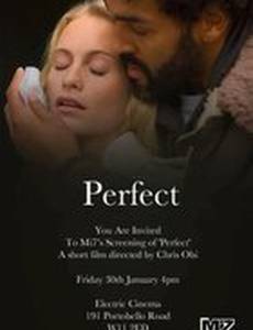 Совершенный