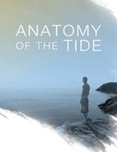 Анатомия прилива