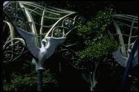 Кадр Властелин колец: Братство кольца