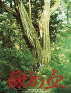 Кровь возрождения