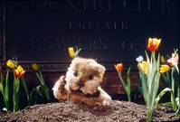 Кадр Гольф-клуб 2