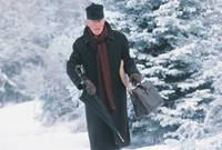 Кадр Заснеженные кедры