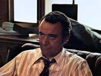 Кадр Спасите тигра