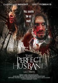 Постер Идеальный муж