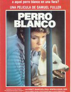 Белая собака