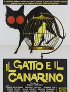 Кот и канарейка