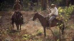 Кадр из фильма "The Bridge in the Jungle" - 1