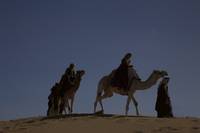 Кадр Королева пустыни