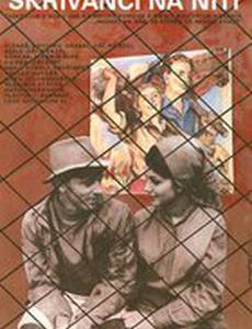 Жаворонки на нити