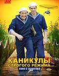 Постер из фильма "Каникулы строгого режима" - 1