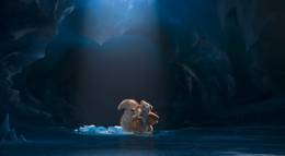 Кадр из фильма "Ледниковый период: Столкновение неизбежно" - 2