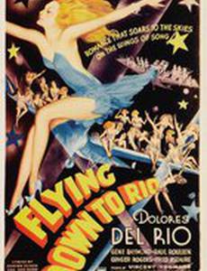 Полет в Рио