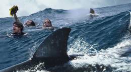 Кадр из фильма "Над глубиной: Хроника выживания" - 1