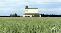 Кадр из фильма "Время волков" - 2