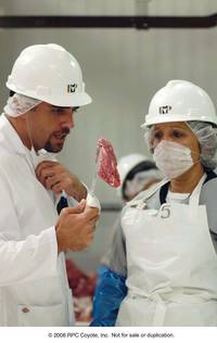 Кадр Нация фастфуда