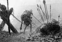 Кадр Трудно быть Богом