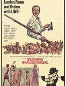 Там, где шпионы