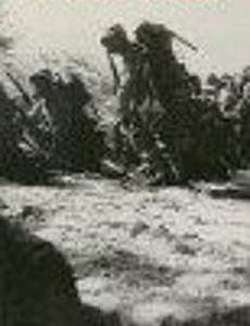 The Leathernecks Have Landed