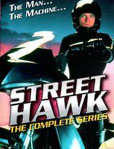 Уличный ястреб