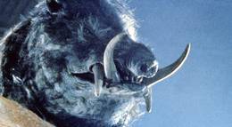 Кадр из фильма "Кабан-секач" - 2