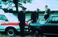 Кадр Пунктик